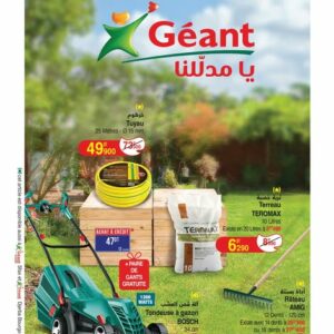 catalogue Géant du 22-04-2025 au 04-05-2025